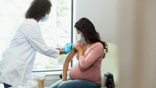 Hamile insanlar artık yeni doğan bebeklerini doğumdan sonraki aylarda RSV'den korumak için aşı yaptırabilirler.