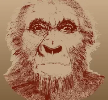 İnsan Evrimi Zaman Çizelgesi: Ardipithecus Kadabba
