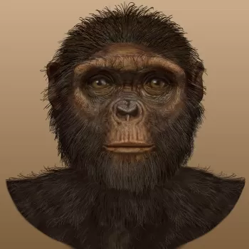 İnsan Evrimi Zaman Çizelgesi: Ardipithecus Ramidus