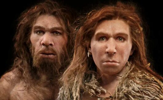 Neandertallerin modern insan olarak bilinen Homo Sapiens
