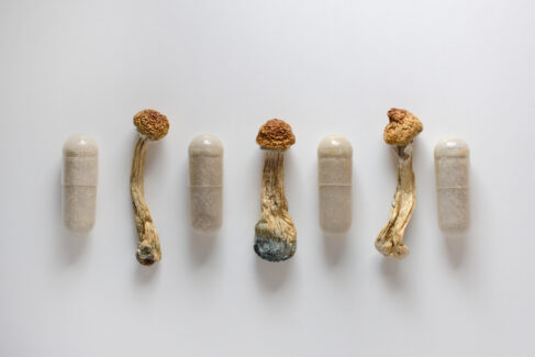 Alzheimer ve psilosibin